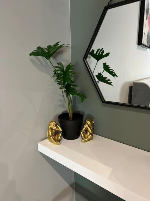 Peaceful & Stylish Brighton Studio Apartment ภายนอก รูปภาพ